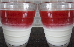 Kevyt pannacotta Marpureella (6 annosta)