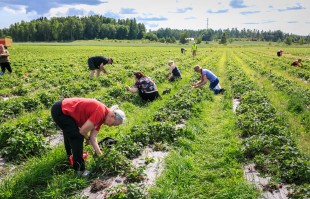 Kesämuistoja